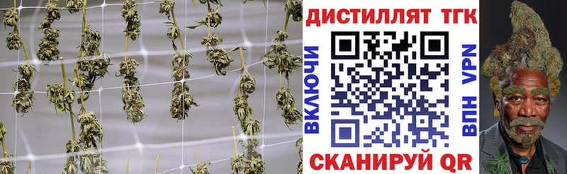 как найти наркотики  Торопец  Дистиллят ТГК гашишное масло 