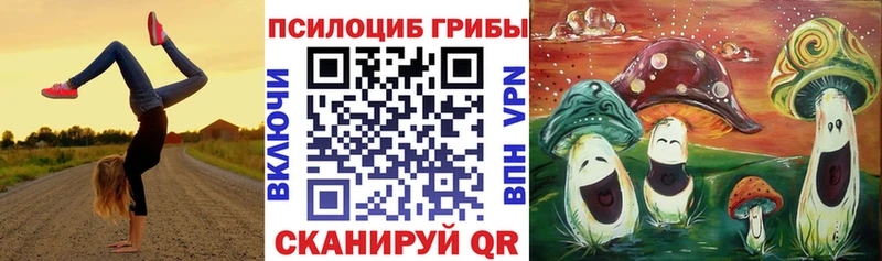 shop какой сайт  Торопец  Псилоцибиновые грибы Psilocybe  мега маркетплейс 